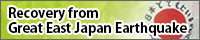 The Great East Japan Earthquake